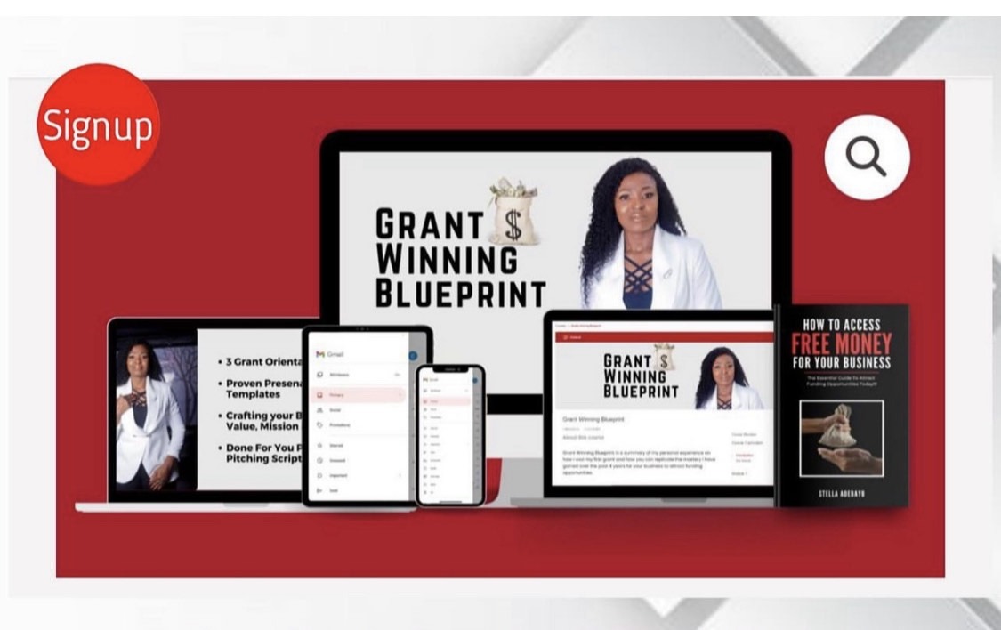 Take Your Business to the Next Level with Our 6-Week Grant mentorship program for Nigerian SMEs take-your-business-to-the-next-level-with-our-6-Week-grant-mentorship-program-for-nigerian-SMEs